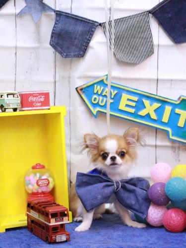 20230423プリューくん